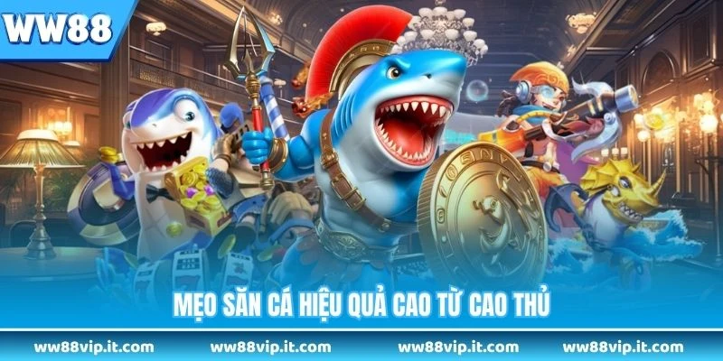 Mẹo săn cá hiệu quả cao từ cao thủ