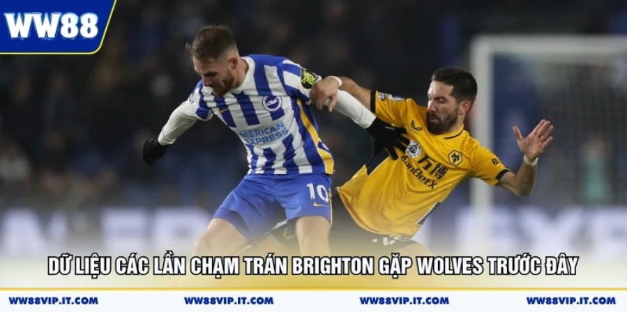 Dữ liệu các lần chạm trán Brighton gặp Wolves trước đây