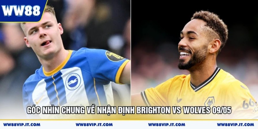 Góc nhìn chung về nhận định Brighton vs Wolves 09/05