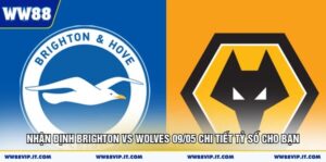nhan dinh brighton vs wolves 09 05 chi tiet ty so cho ban 2