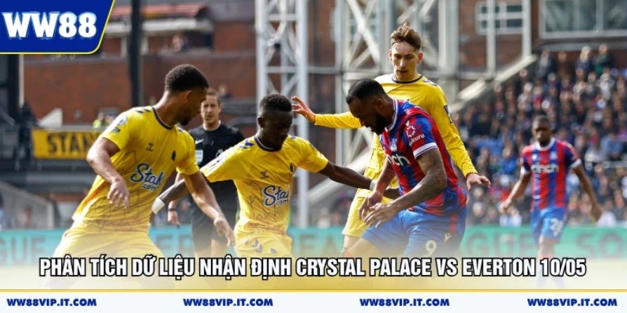 Nhận Định Crystal Palace Vs Everton 10/05 Cực Chuẩn Phân tích dữ liệu nhận định Crystal Palace vs Everton 10/05