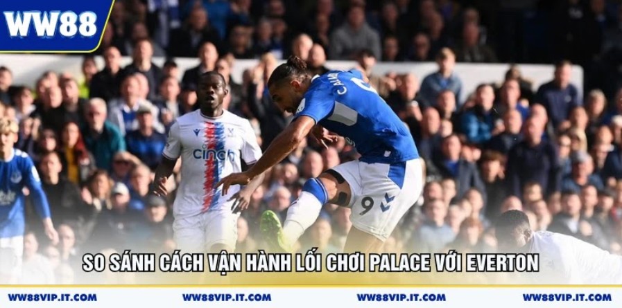 Nhận Định Crystal Palace Vs Everton 10/05 Cực Chuẩn So sánh cách vận hành lối chơi Palace với Everton